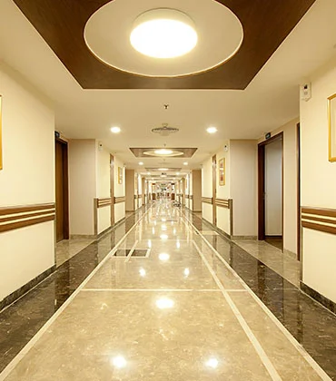 Gallery 4